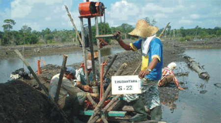 Sebuku Geotechnical Investigations for Coal Conveyor Construction Plan